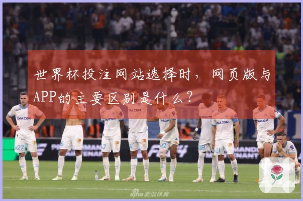 世界杯投注网站选择时，网页版与APP的主要区别是什么？