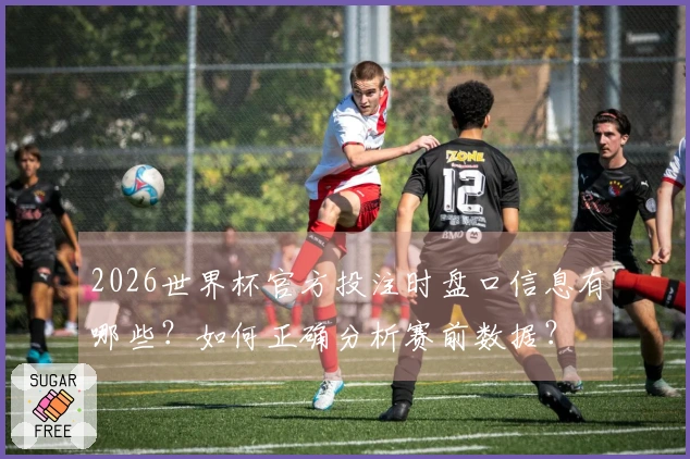 2026世界杯官方投注时盘口信息有哪些?如何正确分析赛前数据?