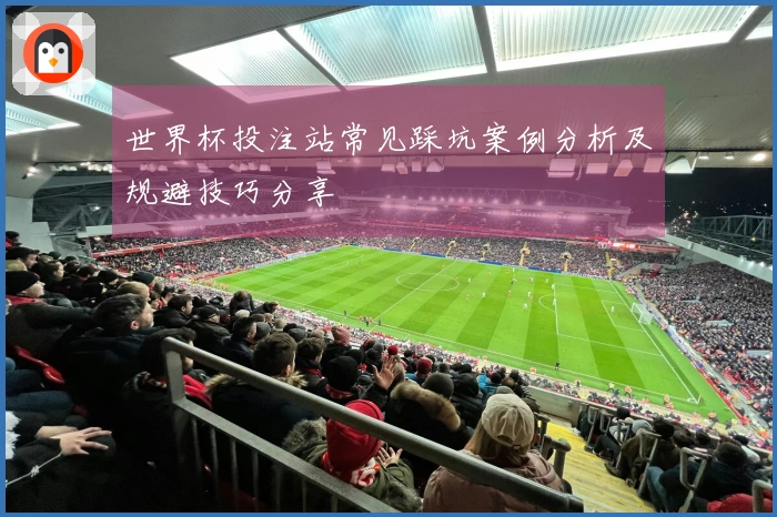 世界杯投注站常见踩坑案例分析及规避技巧分享
