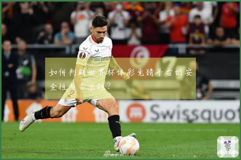 如何判断世界杯体彩竞猜平台的安全性与合法性?