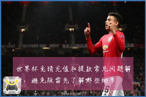 世界杯竞猜充值和提款常见问题解析，避免踩雷先了解哪些细节