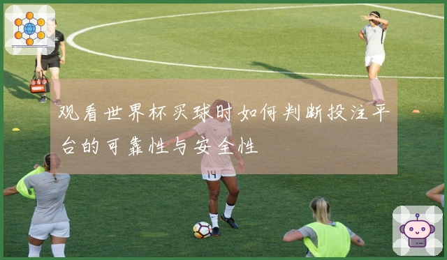 观看世界杯买球时如何判断投注平台的可靠性与安全性