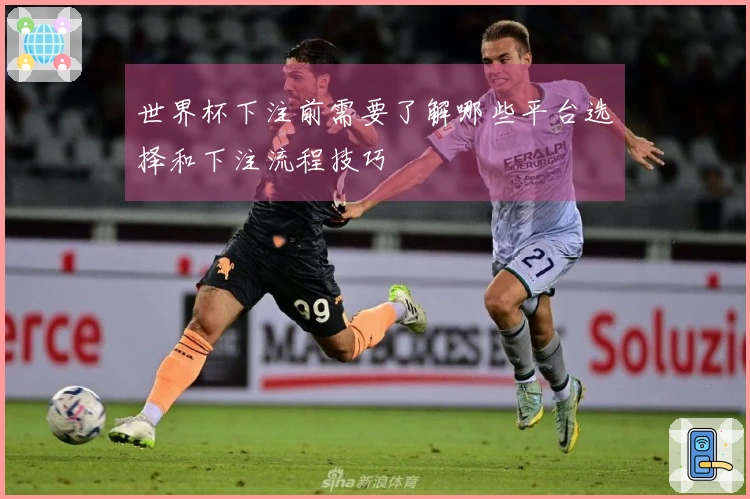 世界杯下注前需要了解哪些平台选择和下注流程技巧