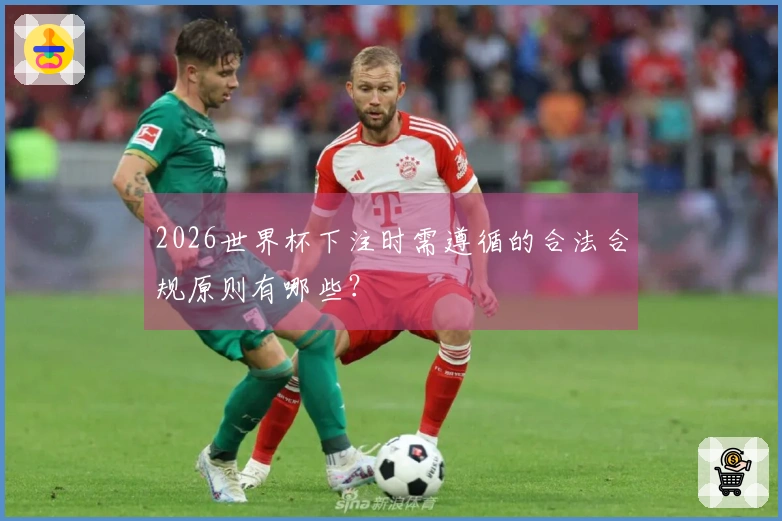 2026世界杯下注时需遵循的合法合规原则有哪些？