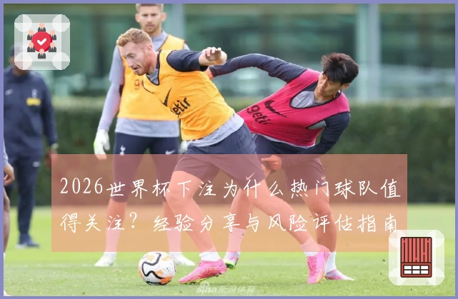 2026世界杯下注为什么热门球队值得关注？经验分享与风险评估指南