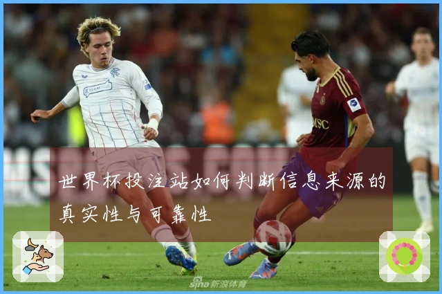 世界杯投注站如何判断信息来源的真实性与可靠性