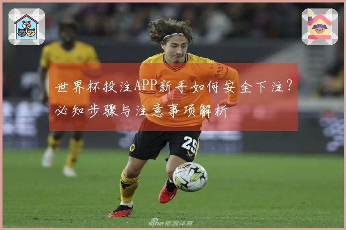 世界杯投注APP新手如何安全下注?必知步骤与注意事项解析