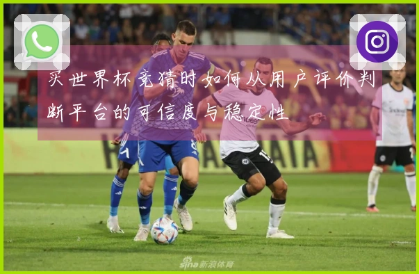 买世界杯竞猜时如何从用户评价判断平台的可信度与稳定性