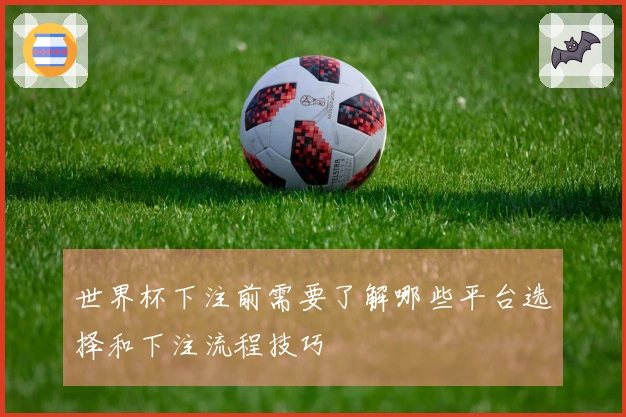 世界杯下注前需要了解哪些平台选择和下注流程技巧