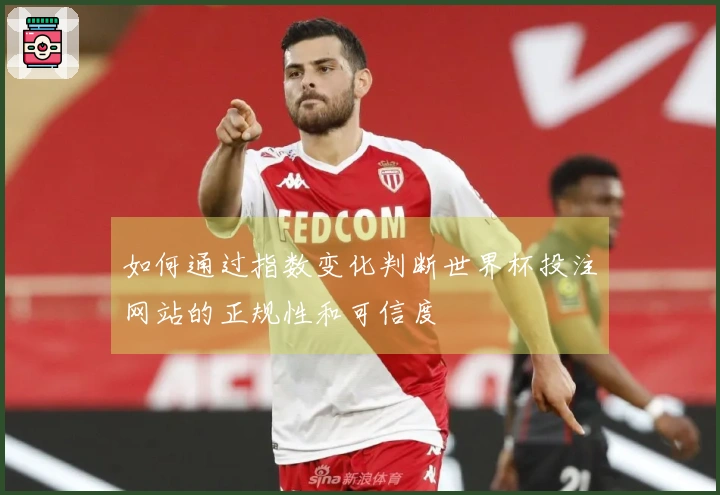 如何通过指数变化判断世界杯投注网站的正规性和可信度