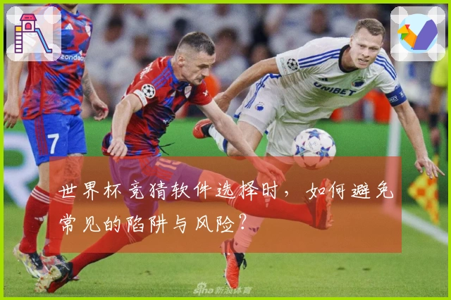 世界杯竞猜软件选择时,如何避免常见的陷阱与风险?