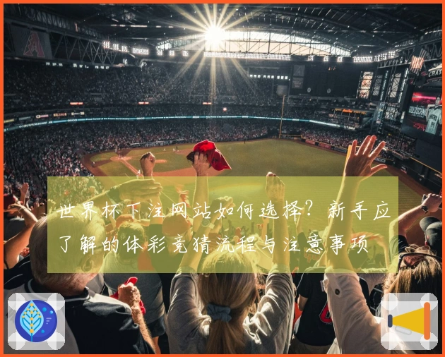 世界杯下注网站如何选择？新手应了解的体彩竞猜流程与注意事项