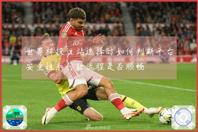 世界杯投注站选择时如何判断平台安全性和付款流程是否顺畅