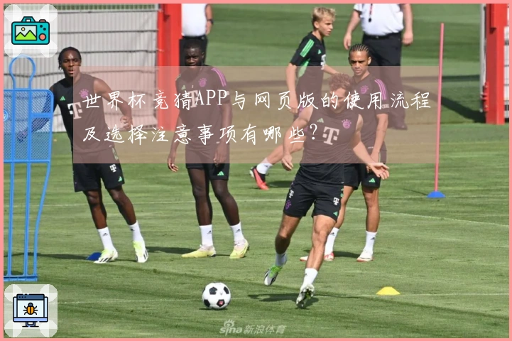 世界杯竞猜APP与网页版的使用流程及选择注意事项有哪些？