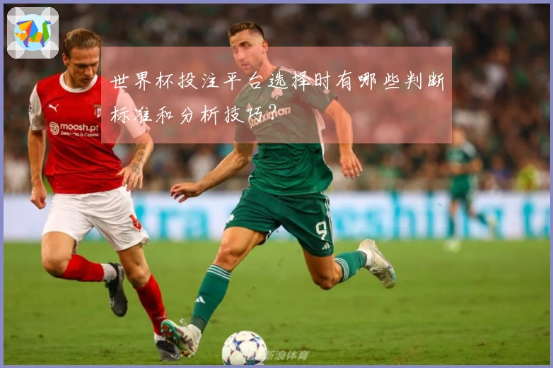 世界杯投注平台选择时有哪些判断标准和分析技巧？