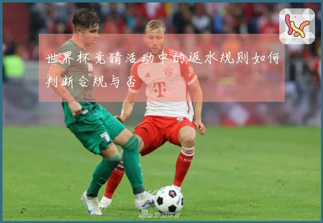 世界杯竞猜活动中的返水规则如何判断合规与否