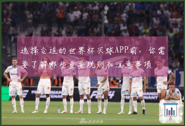 选择合适的世界杯买球APP前，你需要了解哪些重要规则和注意事项