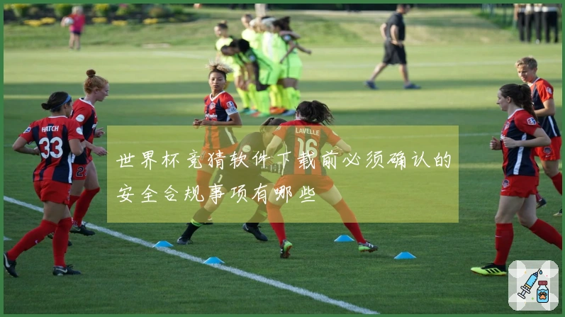 世界杯竞猜软件下载前必须确认的安全合规事项有哪些
