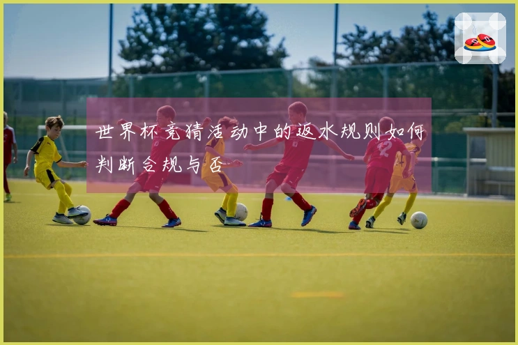 世界杯竞猜活动中的返水规则如何判断合规与否