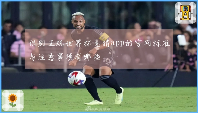识别正规世界杯竞猜app的官网标准与注意事项有哪些