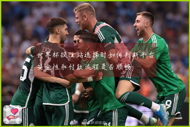 世界杯投注站选择时如何判断平台安全性和付款流程是否顺畅