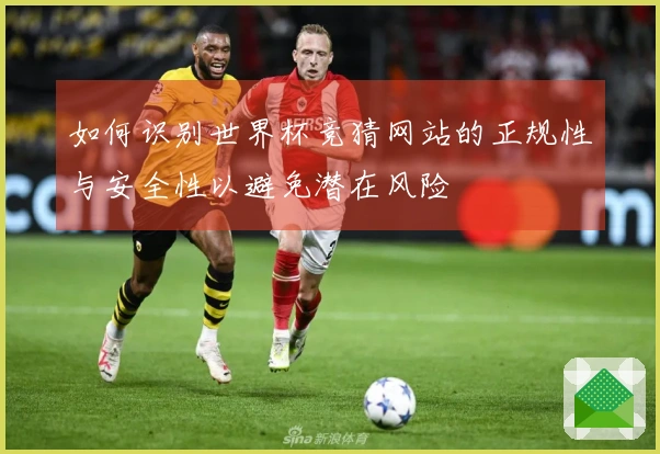 如何识别世界杯竞猜网站的正规性与安全性以避免潜在风险