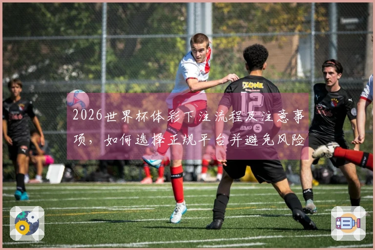 2026世界杯体彩下注流程及注意事项，如何选择正规平台并避免风险