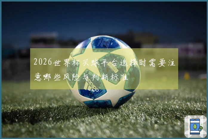2026世界杯买球平台选择时需要注意哪些风险与判断标准